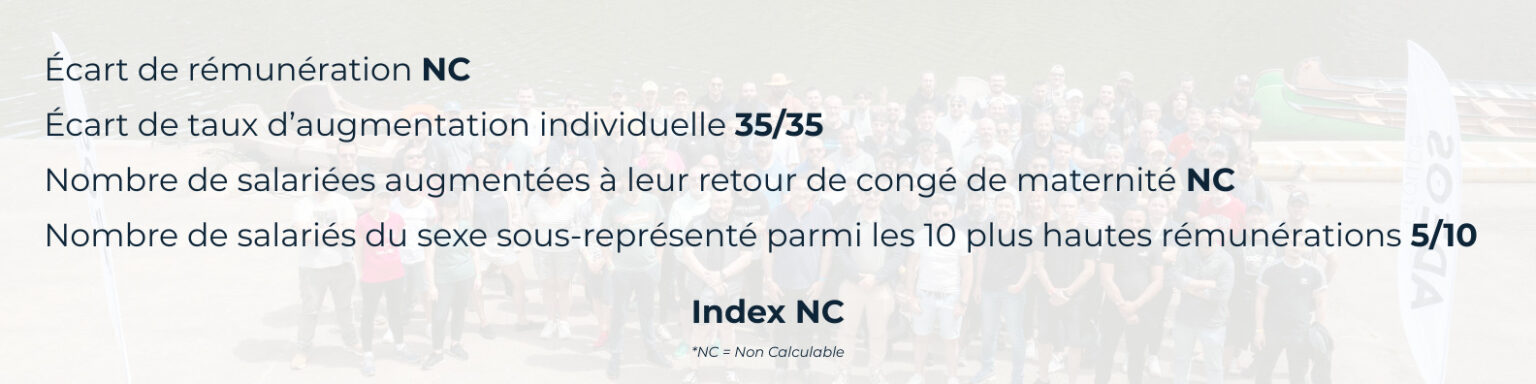Index égalité homme femme industrie bretagne